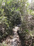 St. Augustine - Jan 2012 124